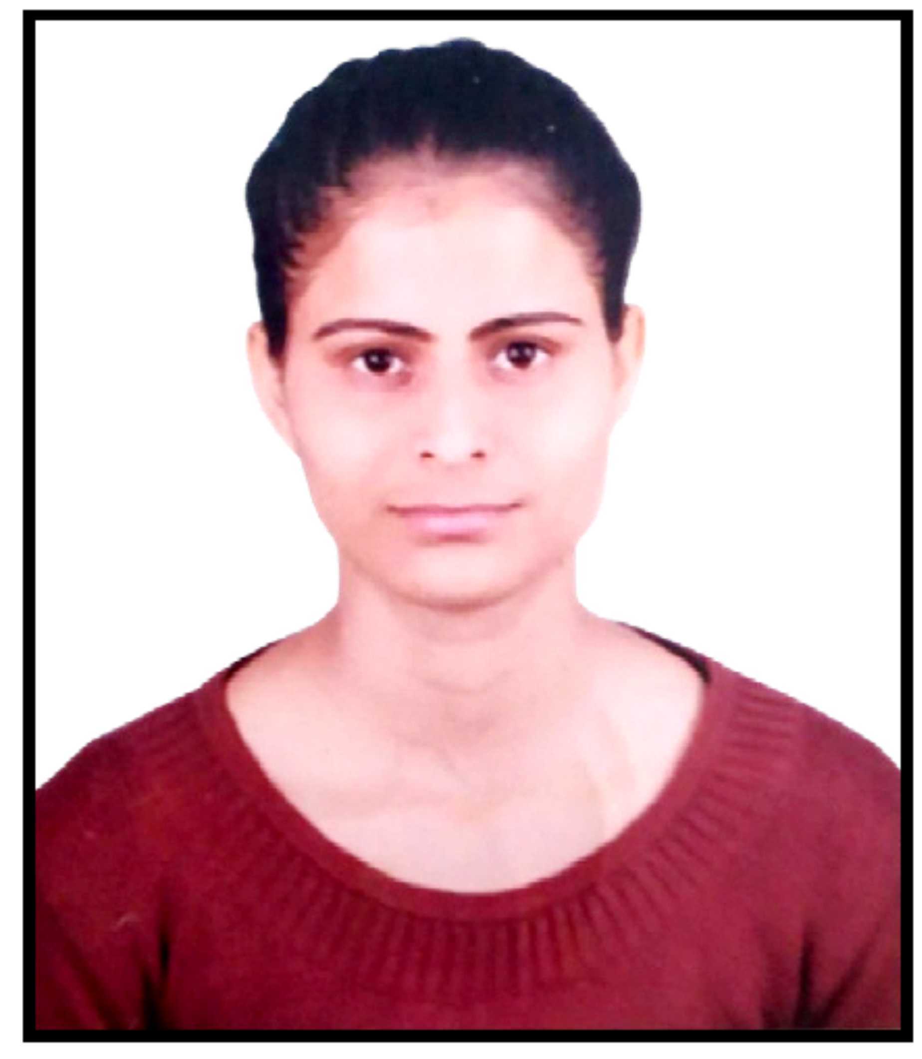 Rethinking Sovereignty in the Digital Age: The Impact of Information Systems on National Borders and Authority